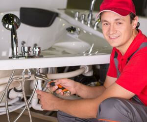 About Plumbers Pros Sebewaing, MI